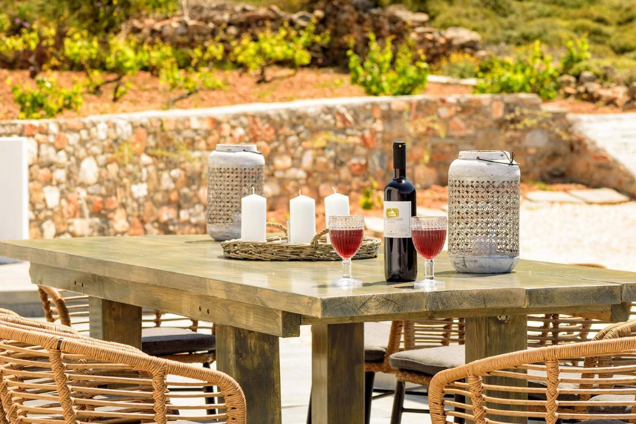 Paros Villa Blue Senses Alikí 외부 사진